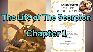 Scorpion Dwelling - Chapter 1 - The Life of the Scorpion  by Jean-Henri Fabre