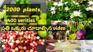 2000+ plants with 400+verities in one garden//అన్ని మొక్కలు ఉచితం గానే వచాయ్ నాకు🥰//@srichanty7937