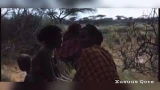 Nolosha Baadiyaha Gobolka Mudug