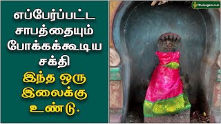 எப்பேர்ப்பட்ட சாபத்தையும் போக்கக்கூடிய சக்தி இந்த ஒரு இலைக்கு உண்டு. | Sabam Neenga | Dheivegam