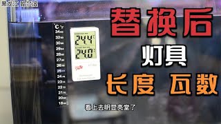 观赏鱼饲养容器大小是固定不变的，随着鱼苗的长大要不断的减密度   南美大混养鱼缸饲养维护设备