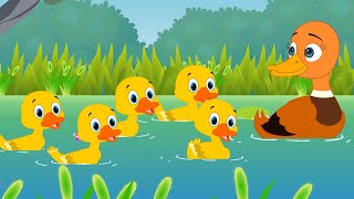 Five Little Ducks - Kids Songs