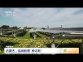 中国三农报道 特色产业干劲足 内蒙古：盐碱地里“种太阳” 农业致富经 agriculture and farming