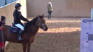 2015中國全國青少年馬術菁英賽 暨 首屆青少年海峽盃馬術邀請賽(陳亦渟)60-90CM