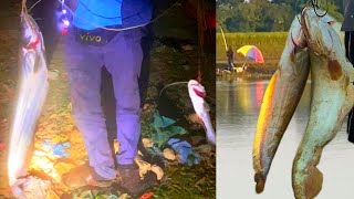 সিলেট চাতল পার বড়শি দিয়ে বোয়াল মাছ ধরা.২০২৩🎣🦈🐋 #বড়শি_দিয়ে_মাছ_ধরা #hook_fishing #viralvideo