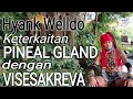 KElenjar PINEAL DAN TERBUKANYA MATA KETIGA | Hyank Welldo | SPIRITUAL KAJIAN