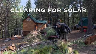 Clearing Trees for My Off Grid Solar Setup | OFF GRID AL Ep 193