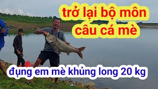 trở lại bộ môn câu cá mè bằng cần máy. dính luôn em cá mè khủng #caucame #camekhung