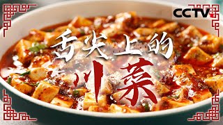 来一场舌尖上的“川味交响曲” 回锅肉 盐帮菜 四川泡菜 感受川菜的独特魅力！——舌尖上的川菜【CCTV纪录】