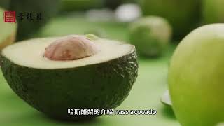 哈斯酪梨的介紹🥑(hass avocado)