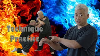 Technique Practice #monk#bruce lee#jackie chan#yipman#mma#ufc#gym#workout#Muay Thai#wwe
