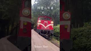 走走阿里山｜台灣山林很美，這次沒有坐到小火車，看著鐵道上的她也舒心