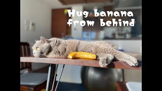 Hug Banana from behind バナナを後ろ抱っこする猫さん #shorts