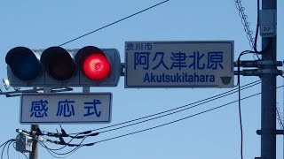 【信号機】群馬県渋川市阿久津 京三蒲鉾スフェリカルレンズ（ショート編）