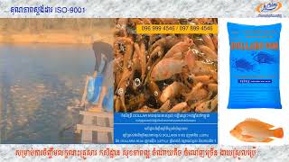 ចំណីត្រី Dollars 9103​ មានគុណភាពខ្ពស់🐟