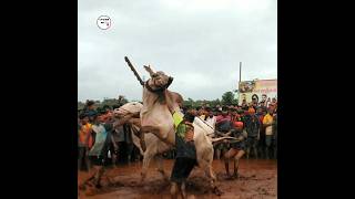 संग्राम ची Jump बघा आदित्य शिर्के यांचा संग्राम                                 नाद एकच जीवापलीकडचा#