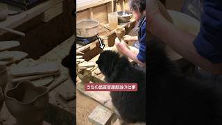 この日常がもうすぐ戻ってくる..！はず。。#陶芸 #pottery #銀河釉 #中尾哲彰 #cat #猫