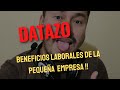 DATAZO // BENEFICIOS LABORALES DE LA PEQUEÑA EMPRESA