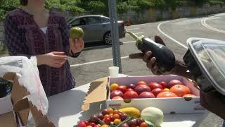 Activists bring fresh food to Sing Sing inmates following care package ban