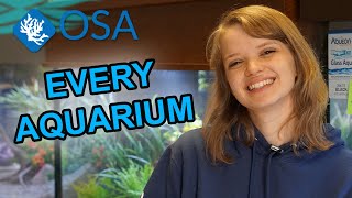 Every Aquarium at OSA Wakefield! (April 2023)