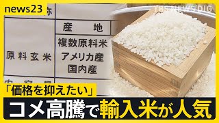 止まらないコメの高騰で“輸入米”が人気　政府は備蓄米放出へ…今後の価格の見通しは？2人の専門家の見方【news23】｜TBS NEWS DIG