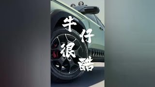 吉利首款轻越野SUV曝光，牛仔很酷？