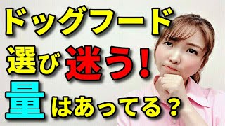 【犬 ご飯】愛犬のご飯、ドッグフードは結局どこのがいいの？量はどれくらい与える？おやつっていつからあげていいの？新遠藤エマチャンネル【犬のしつけ＠横浜】