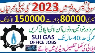 Internship under Corporate Social Responsibility #SNGPL #Sui Northren Gas Company Limited #230+ Seat