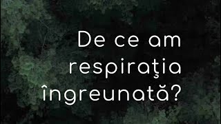 De ce simțim că „nu ne ajunge aerul” în anxietate și ce putem face (DISPNEEA)