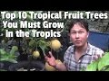 Top 10 Tropical Fruit Trees You Must Grow if You Live in the Tropics