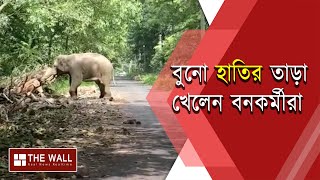 পথচারীকে বাঁচাতে এসে বুনো হাতির তাড়া খেলেন বনকর্মীরা