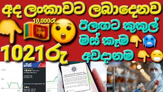 🇰🇼🇱🇰☝️අද10k රුපියල1021 ලබාදෙන අමාන් එක්චේන්ජ් #sarfanbavlog #kuwaitsinhalanews #srilankabreakingnews