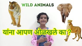 कोणत्या प्राण्यांना जंगली प्राणी म्हणतात ? #Wildanimals #प्राण्यांचीनावे  #MarathiShala