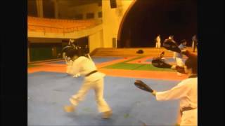 Sarang Plus_Korean Culture Center at Doha Qatar Taekwondo Master