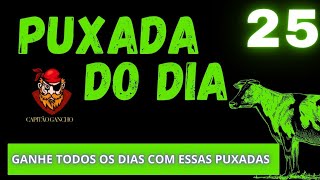 PUXADAS JOGO DO BICHO DIA 25-  DICAS DO CAPITÃO