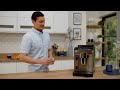 magnifica evo first use and preparing coffee drinks