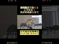 【論語】『損得勘定』で動く前に知っておきたい秘訣！孔子の名言【論語】