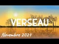 ♒ VERSEAU ♒🍂 NOVEMBRE 2024 🍂✨ Vous gardez confiance quoi qu'il se passe ✨