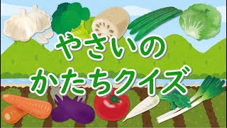 やさいのかたちクイズで野菜を覚えよう！知育【赤ちゃん・子供向けアニメ】