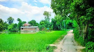 গ্রামের প্রাকৃতিক দৃশ্যের সৌন্দর্য। Bangladesh Village Natural and Beautiful Scenery HD Video