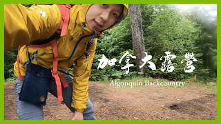 【多倫多露營】加拿大露營同香港有咩唔同？3日2夜Algonquin Backcountry｜要徒步5個鐘？怕唔怕有熊出沒？