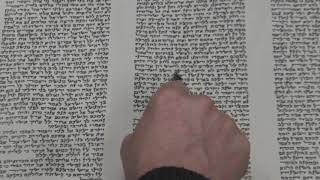 Maftir Reading for Parashat Vayigash Rabbi Moshe Weisblum קריאת מפטיר לפרשת ויגש הרב משה ויסבלום