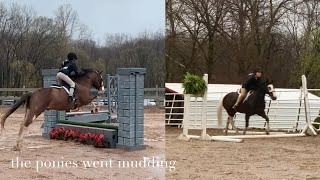 HORSE SHOWING IN THE RAIN