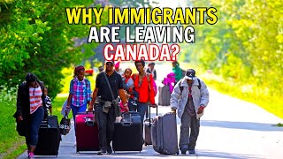 Why Immigrants Are Leaving Canada in Record Numbers?