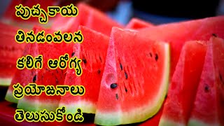 Watermelon Health Benefits in Telugu | Nutritional Benefits of Watermelon | Watermelon Benefits