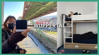 독일 VLOG 🇩🇪 | 2022 3월 Wuppertal🚟 | 프랑크푸르트✈️ | 💜보라랑 장보고 먹고 뒹굴거리는 일상🛒