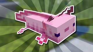 Everything There is to Know About Axolotls in Minecraft 1.21