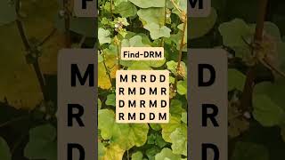 Observation Visual Test: 5 Seconds ForYou To Spot DRM. Try Your Skills! #search #puzzle #shorts