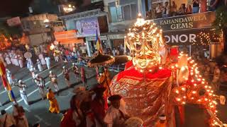 Mesmerizing Moments from Kandy Esala Perahera : A Cultural Spectacle