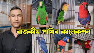 আড়াই লক্ষ টাকায় ১ জোড়া পাখি | Eclectus Parrot | Forpus bird